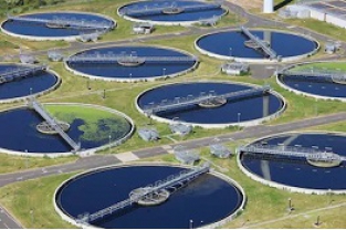 利用微生物污水處理菌處理廢水有什么優(yōu)勢？