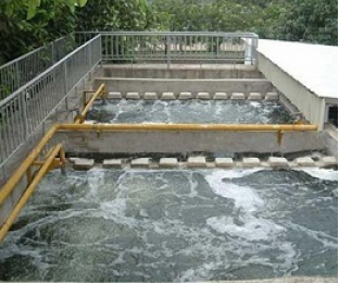 生化后出水氨氮比進水時還高？