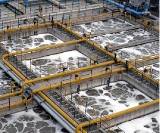 生化池出水氨氮超標提標怎么辦？