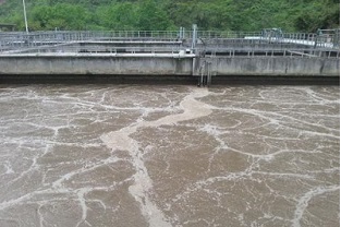 怎么選擇合適的碳源？