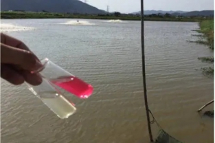 低溫下氨氮超標(biāo)原因分析？