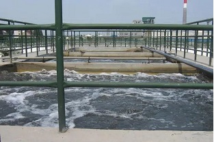 為什么工業(yè)廢水脫氮需要補充額外的碳源？