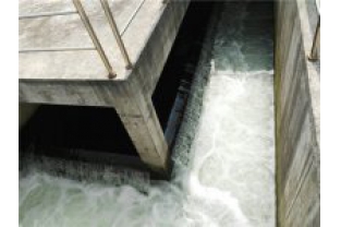 生化出水氨氮超標(biāo)是怎么回事，要怎么辦