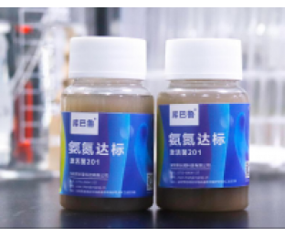 生化系統(tǒng)崩潰，氨氮超標，我該怎么辦?