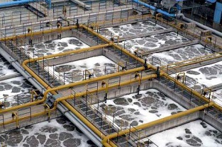 總氮為什么會超標(biāo)？總氮處理方法