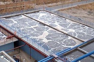 如何除去污廢水中的氮？