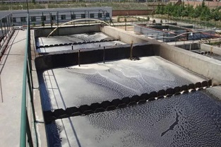 什么是生化處理？