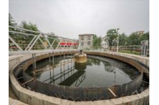 【干貨】泥齡導(dǎo)致的氨氮超標(biāo)？那這種情況該如何處理呢？