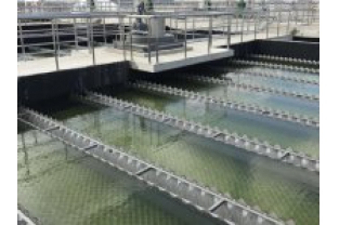 【干貨】有機(jī)物導(dǎo)致的氨氮超標(biāo)?這種情況該如何處理呢？