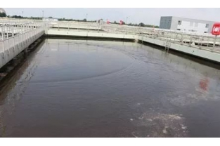 水處理中如何投加藥劑，才能讓脫氮更有效？