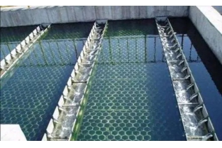 【干貨】生物濾池為什么一受沖擊氨氮去除率就會下降？