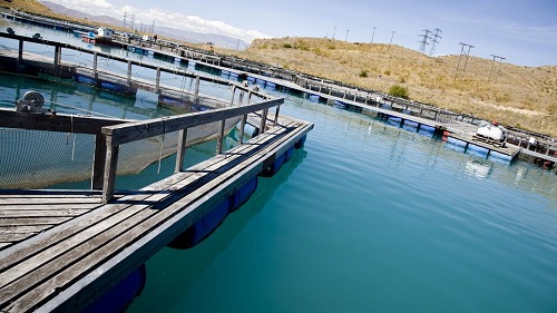 高濃度、高氨氮、難降解廢水