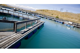 高濃度、高氨氮、難降解廢水生物處理技術(shù)經(jīng)驗(yàn)總結(jié)