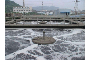 出水總氮輕松達標(biāo)（只因做對了這件事）