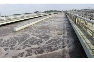 【重要】水中溶解氧越高，處理效果越好么？