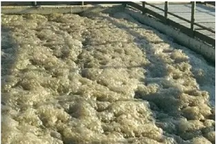 污水處理中的泡沫現(xiàn)象該怎么辦？