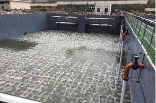 碳源的價格水漲船高，污水廠如何減少碳源投加量來降低成本？