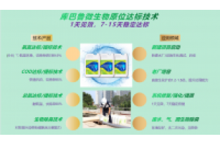 春節(jié)復(fù)工，生化系統(tǒng)快速修復(fù)，確保污水達(dá)標(biāo)排放
