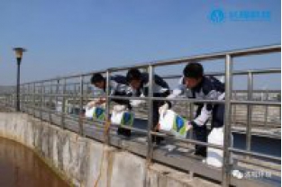 碳氮比失調(diào)，總氮超標(biāo)怎么辦