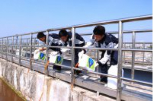 反硝化菌在污水處理中的作用是什么？