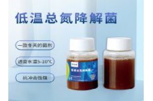 反硝化細(xì)菌在污水處理中的具體應(yīng)用是什么？