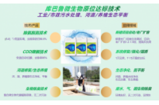 什么是氨氮激活菌，有什么作用