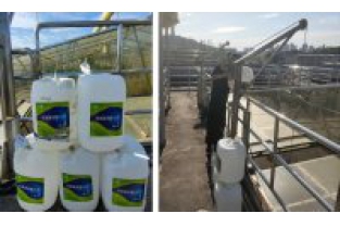 如何防范生化出水總氮超標(biāo)